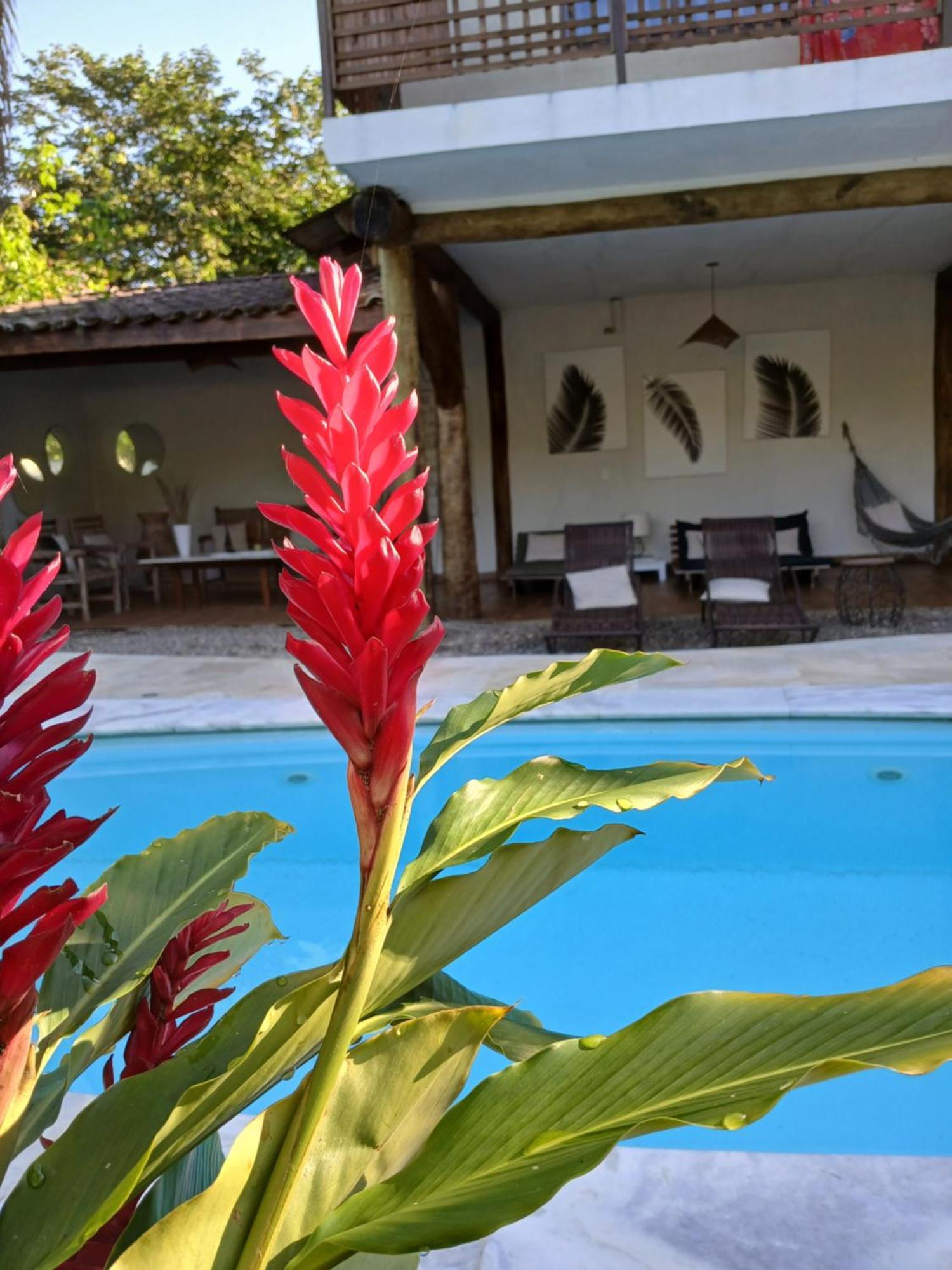 Itamambuca Casa De Praia Ubatuba Extérieur photo